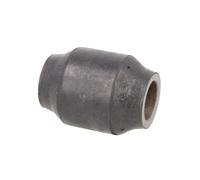 Boccola cuscinetto, molla a balestra S-TR 120130