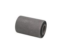 Boccola cuscinetto, molla a balestra S-TR 120815