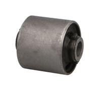 Boccola del braccio di controllo Parte posteriore Sinistra (sinistro) - Destra