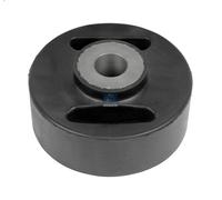 Boccola, gancio molla a balestra DT SPARE PARTS 4.50536 per F2000 9.973 1994-