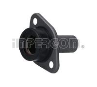 Manicotto di guida, Frizione IMPERGOM IMP41248