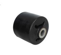 Boccola, molla a balestra S-TR STR-120903