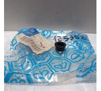 BOCCOLA PEDALE FRIZIONE PER PIAGGIO APE TM 602-703 (125352)