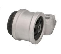 Boccola, trave dell'asse FAG 829 0496 10 per VW PASSAT B5 (3B2) 2 2000-2