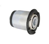 Boccola, trave dell'asse REINHOCH RH19-2002 per VIVARO A Furgone (X83) 2 2001-