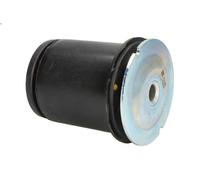 Boccola, trave dell'asse REINHOCH RH20-1009 per LINEA (323_, 110_) 1.4 2007-2013