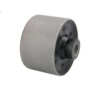 Boccola, trave dell'asse REINHOCH RH20-2009 per VIVARO A Furgone (X83) 2 2001-