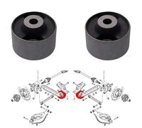 Boccole Dei 2 Bracci Posteriori Per Captiva, Daewoo Winstorm, Opel Antara