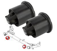 Boccole Del Corpi Asse Posteriore per Renault Thalia L8_, LU1/2_