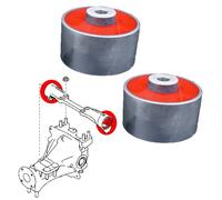 Boccole Di Supporto Differenziale Posteriore Per Fiat 124 SPIDER II