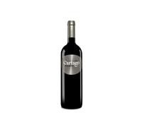Bodegas y Viñedos San Román Cartago Paraje del Pozo 2021
