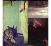 Bodies of Water A Certain Feeling (CD) Album