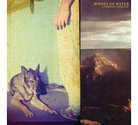 Bodies of Water A Certain Feeling (Vinyl LP)