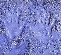 Bodine, Adam Trio - Blue Mud