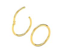 Body CAC Oro 2 Pezzi-1.2mm×7mm Sottili Naso Orecchini Acciaio Cerchietti Chirurgici, Hinged Segment Anello Finto Nostril Septum Piercing Trago per Donne
