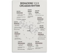 Body Clock Poster for Daily Pattern | Morning peak afternoon slump evening wind down midnight deep rest(Unframed,12x18inch(30x45cm))