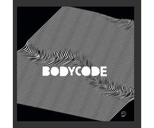 Body code - Conservation Of Electric Charge