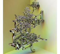 Body Meta Work Is Slow (CD) Album