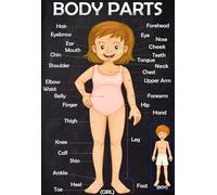 Body Parts Educational Poster - Human Anatomy Wall Chart for Kids, Science Learning Decor for Classroom & Children's Room(Unframed,12x18inch(30x45cm))