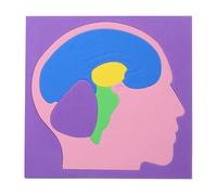 Body Parts Puzzle, Brain Science Experiment, DIY Human Body Model with Removable Organs, Soft Educational with Color Coded Pieces, Human Anatomy Puzzle, STEM Learning Girls Kids