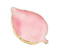 BODYA Tavolozza per unghie in resina a forma di foglia Tavolozza per colori con smalto gel Tavolozza per pittura per unghie per dipingere, posizionare oggetti, fare unghie