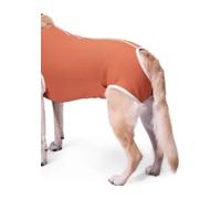 BODYCOBRE BODY CASTRAZIONE CANI MASCHI "TG. 10" 25-30 KG