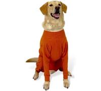 BODYCOBRE BODY COMPLETO UNISEX CANE E GATTO "TG. 10" 25-30 KG