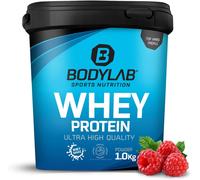 Bodylab24 Proteine in polvere, Yogurt al lampone 1000 g