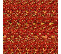 Böhse Onkelz - Gehasst,Verdammt,Vergöttert