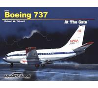 Boeing 737 at the Gate
