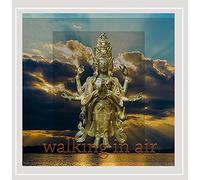 Bogdanov, Andrey - Walking in Air
