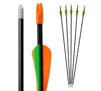 Bogenkönig - Punta Affilata Set di 5 Frecce per Arco per Bambini - in Fibra di Vetro con Punta di Metallo, per l'Arco da 28 Pollici - Qualità Superiore, Perfetto per Principianti