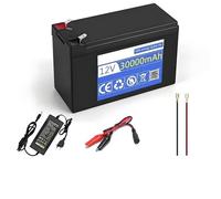 BOGJFC Batteria 12V 30Ah 18650 Pacco Li Ion BMS Alta Corrente 30A Per Atomizzatore Veicolo Elettrico 12.6V con Caricatore 3A 150x95x65mm