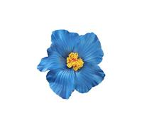 Bohemia - Fermaglio per capelli da donna, per spiaggia, vacanze, tulipano, fiore e becco d'anatra, per l'estate (18D)