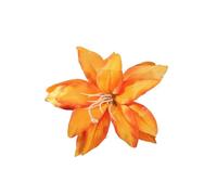 Bohemia - Fermaglio per capelli da donna, per spiaggia, vacanze, tulipano, fiore e becco d'anatra, per l'estate (42A)