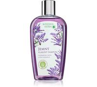 Bohemia Gifts & Cosmetics Bohemia Herbs Lavender shampoo per capelli 250 ml