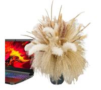 Boho essiccato Pampas secca e secca naturale, mazzo di canne, centrotavola disposizione s per le decorazioni 'ufficio tavolo di benvenuto