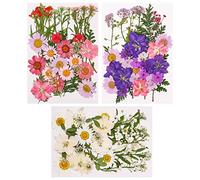 Bohoman Fiori Secchi, 105 PCS Pressati Fiori Secchi Veri Fiori Secchi DIY Dried Pressed Flowers Naturali Misti Set di Petali di Fiori Pressati per unghie Fai da Te Candele Decorazioni Scrapbooking