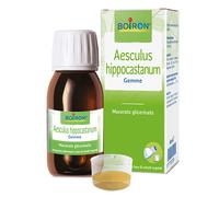 Boiron AESCULUS HIPP BOIRON MACERATO GLICERICO 60 ML