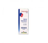 AESCULUS HIPPOCAST TM 60ML BO