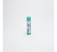 Arnica Montana 200ch Granuli 4 G