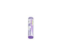 Arnica Montana 30Ch Globuli Monodose Boiron