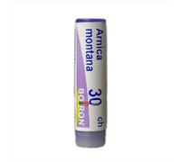 Boiron Arnica montana 30CH - Medicinale omeopatico in granuli per traumi e dolori, 1 g