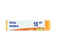 ARNICA MONTANA XMK GL