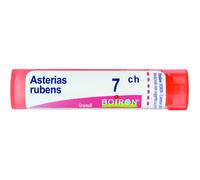 Boiron Asterias Rubens Granuli 07Ch Tubo 4g