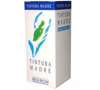 boiron Betula alba 60ml tm bo