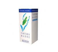 BETULA ALBA 60ML TM BO