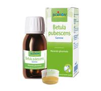 BETULA PUBESCENS MACERATO GLICERICO 60 ML INT