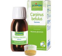 boiron Bo.carpinus bet.mg i 60ml