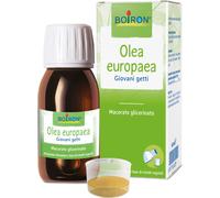 boiron Bo.olea europea mg 60ml